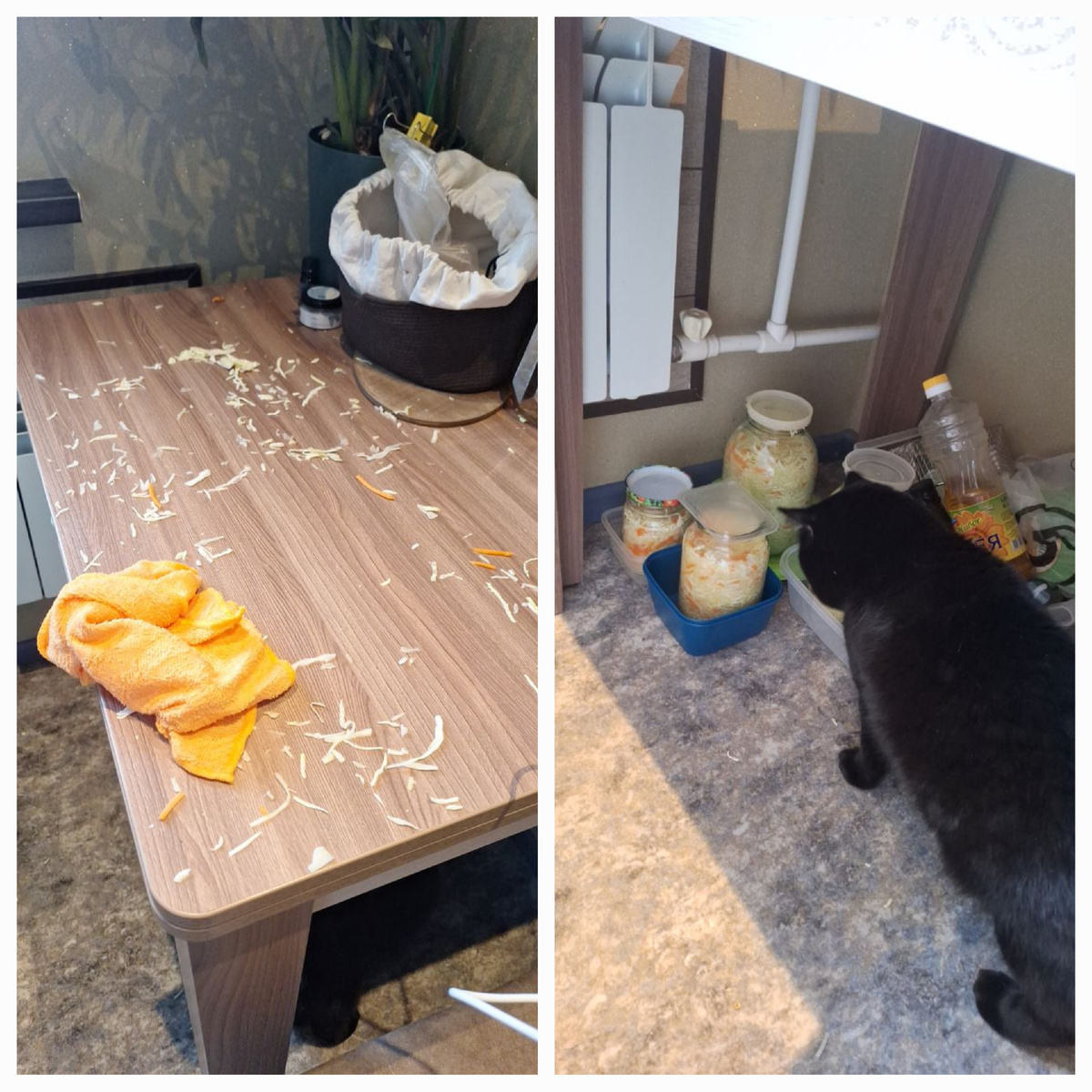 Семейный вайб