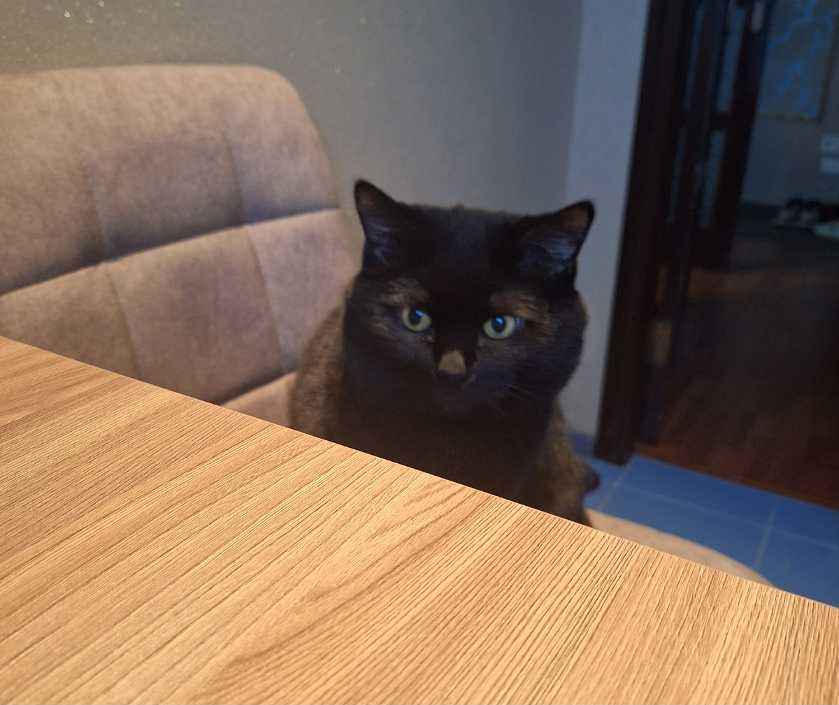 Почему не мясо в меня летит?