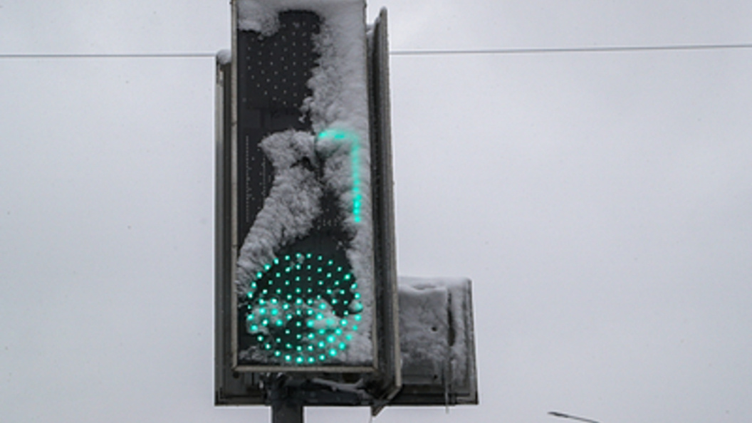    Фото: Belkin Alexey/Globallookpress.