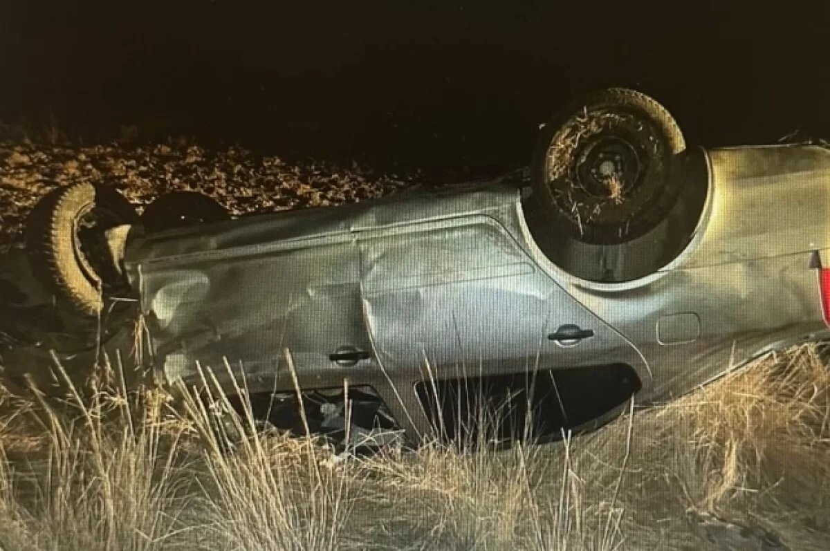    В Ростовской области произошло ДТП из-за выбежавшего на трассу животного