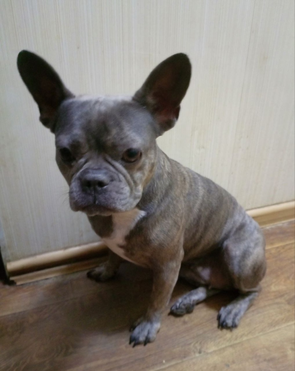 Можно листать------->