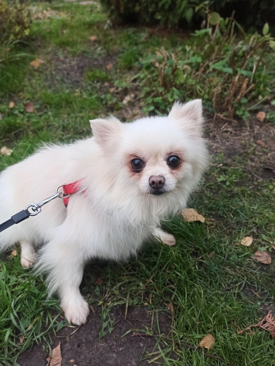 Можно листать------->