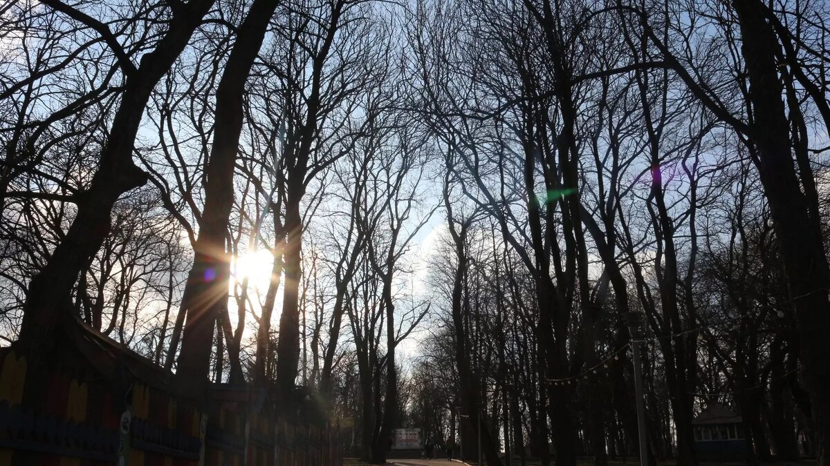     Источник: 1MI