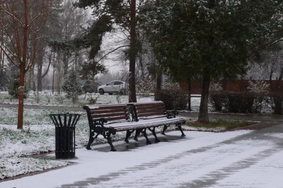    Благоустройство у Успенского собора в Ярославле приняли в снегопад