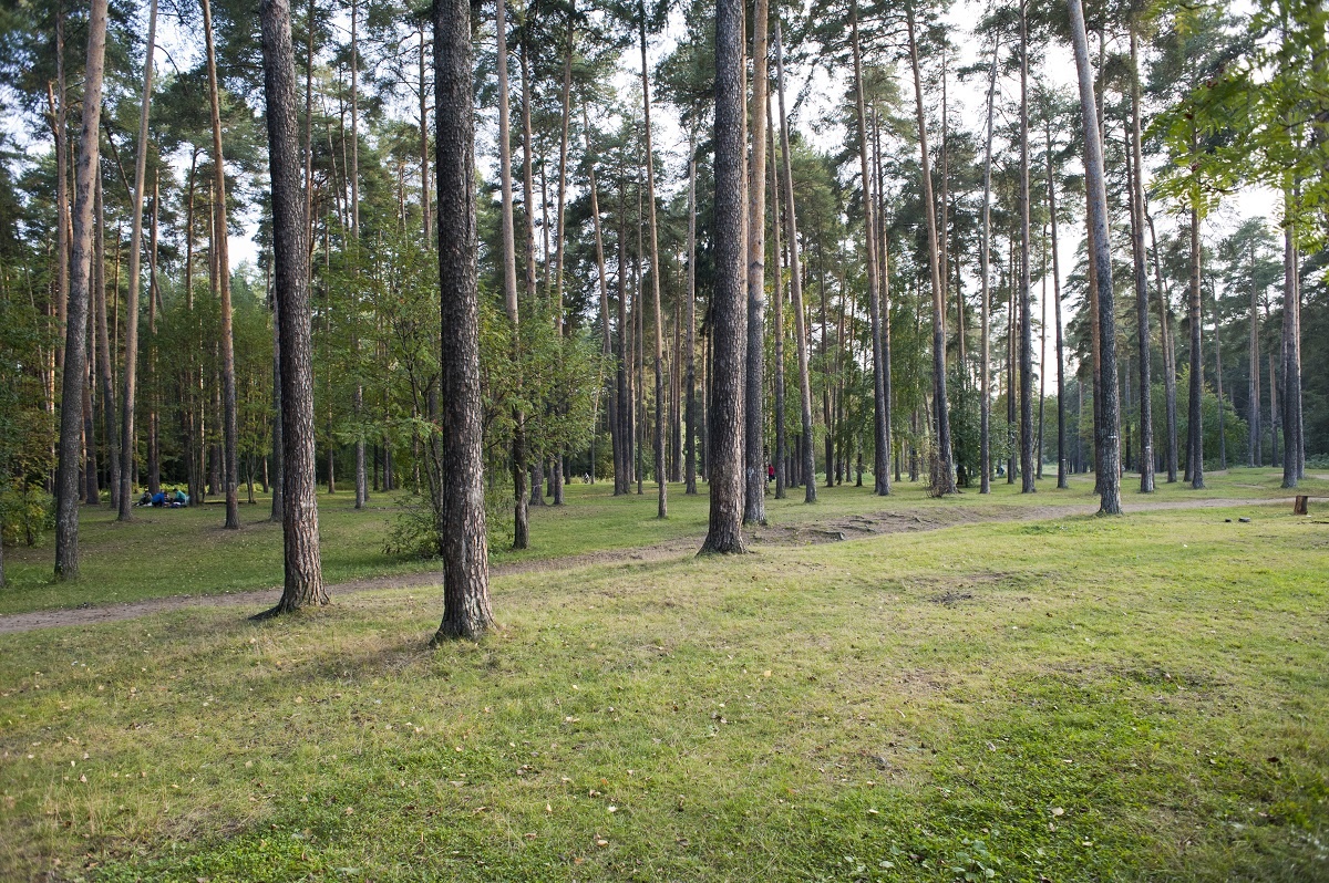    © Константин Долгановский