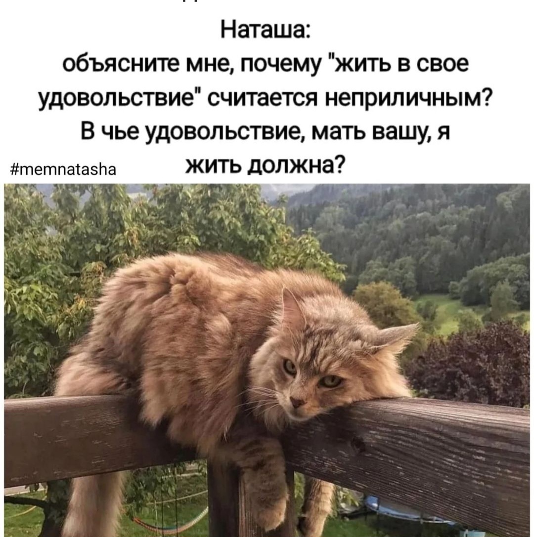 Примерно такие мысли