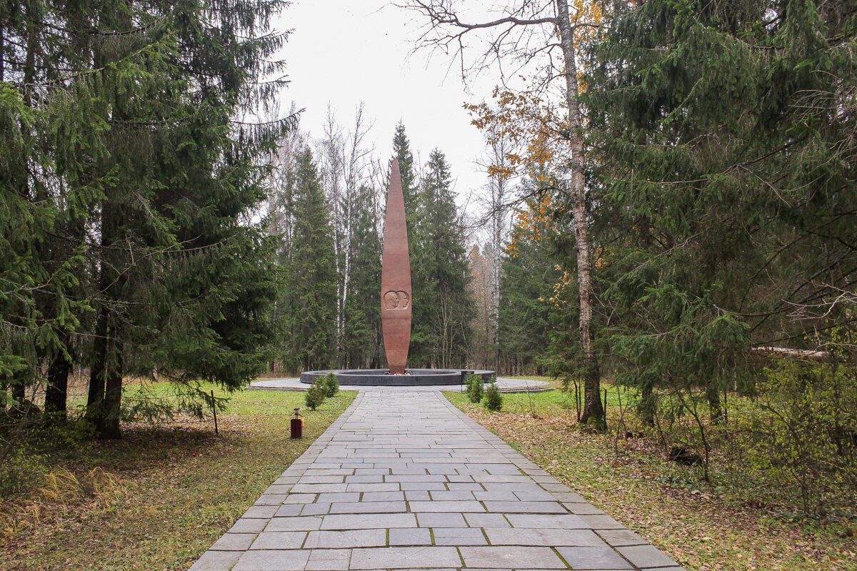 Владимирская область. Монумент на месте гибели Ю.А. Гагарина и В.С. Серегина. Фото автора.