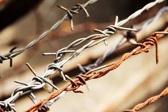    Правительство не поддержало законопроект о статусе несовершеннолетних узников концлагерей