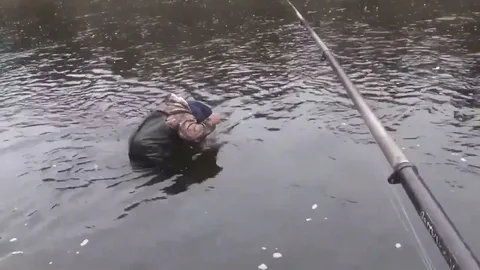 Фото с сайта: https://i.ytimg.com