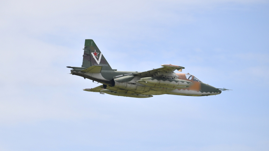    Фото: © РИА Новости/Минобороны РФ; 5-tv.ru