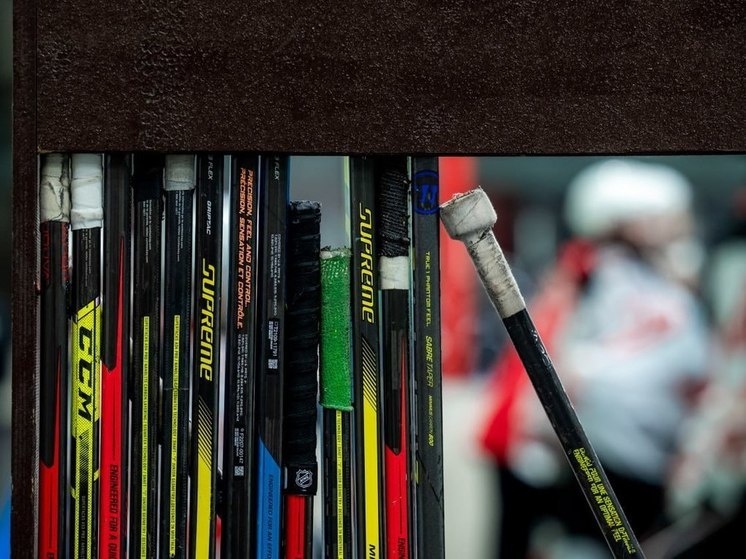     Фото Людмилы Ковалёвой («Южноуральская панорама»)