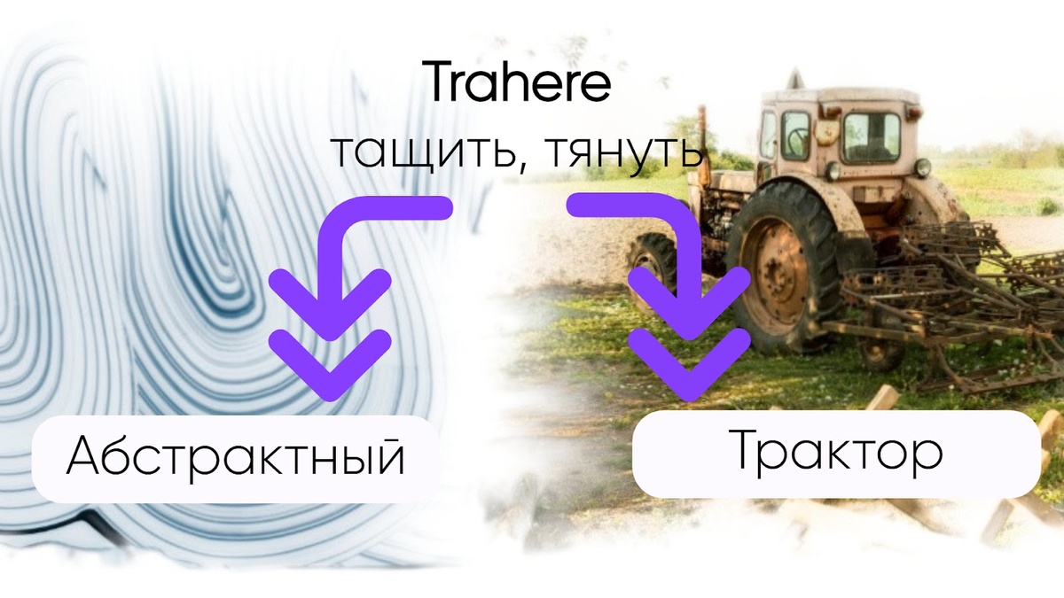 фото от freepik