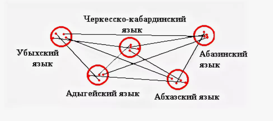 Адыго-абхазские языки