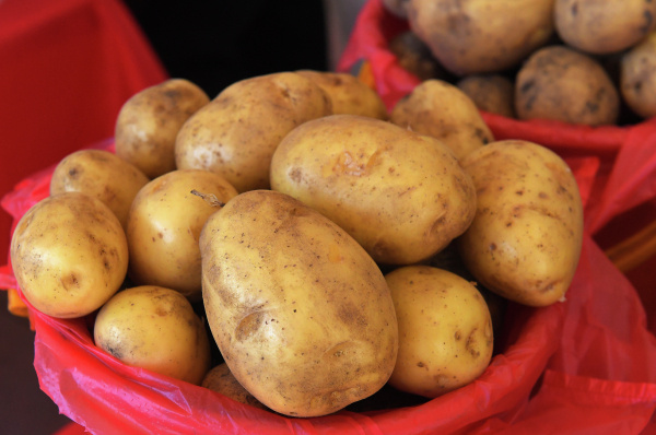 Фото: РИА Новости/Илья Наймушин