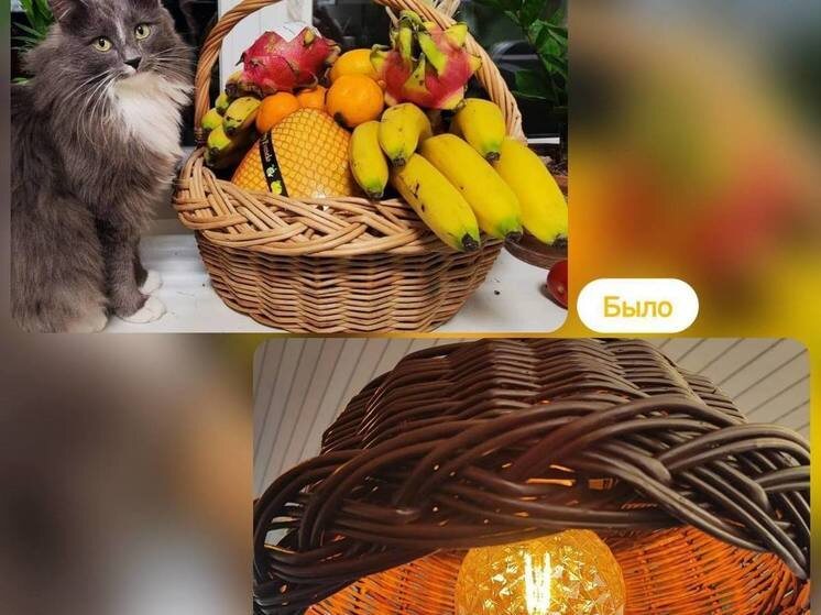     Фото с ТГ-канала Николая Калиничева