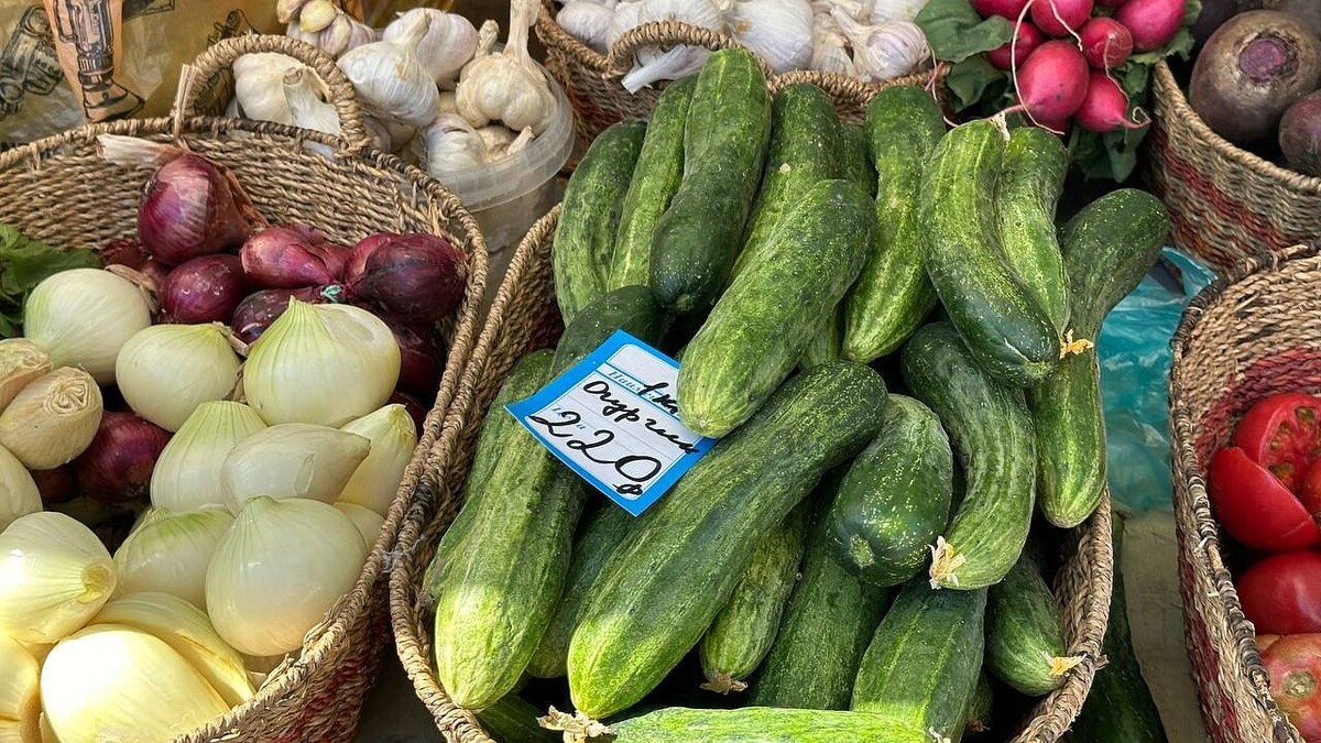    Фото: телеканал «Краснодар»