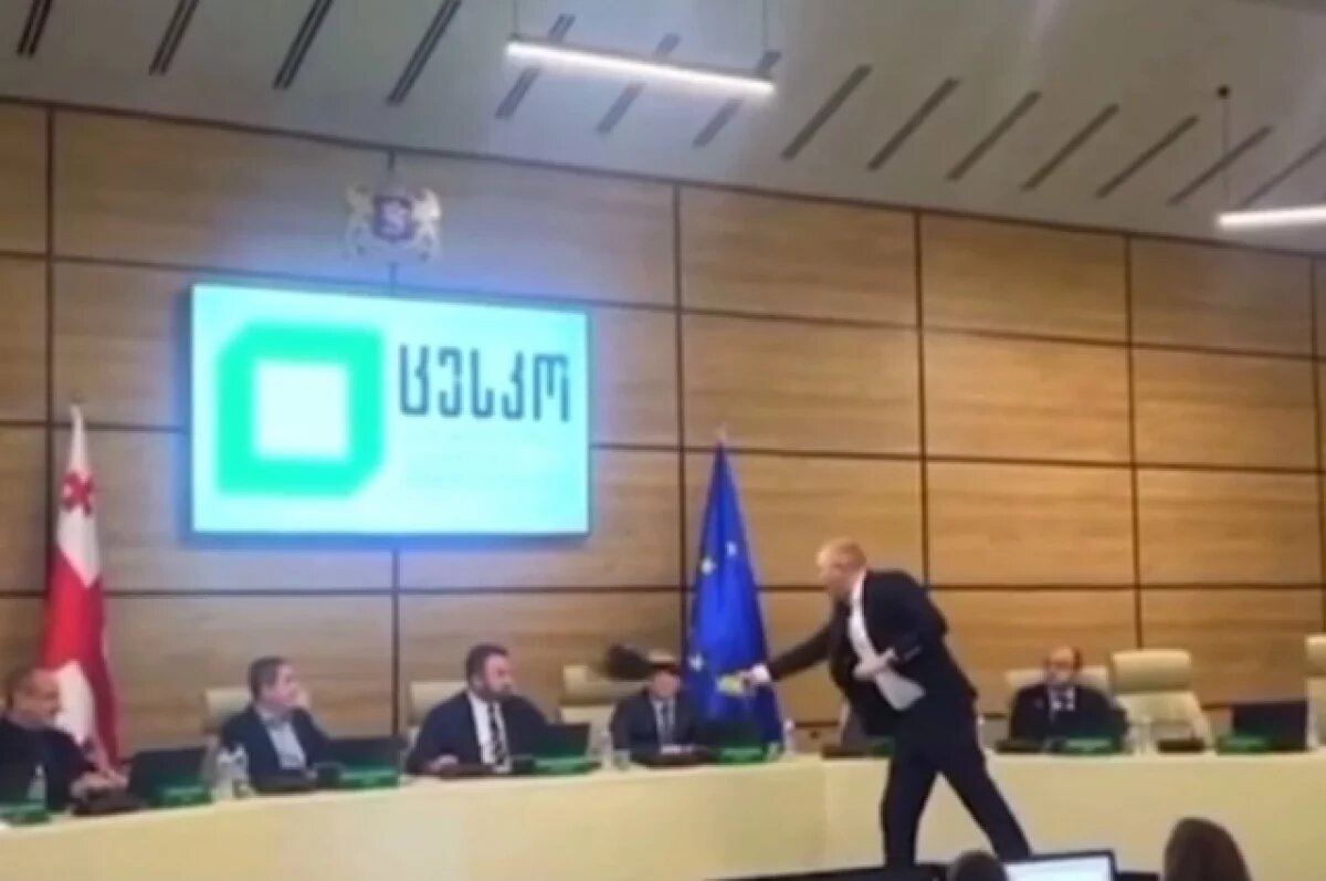    Оппозиционер облил краской главу ЦИК Грузии Каландаришвили