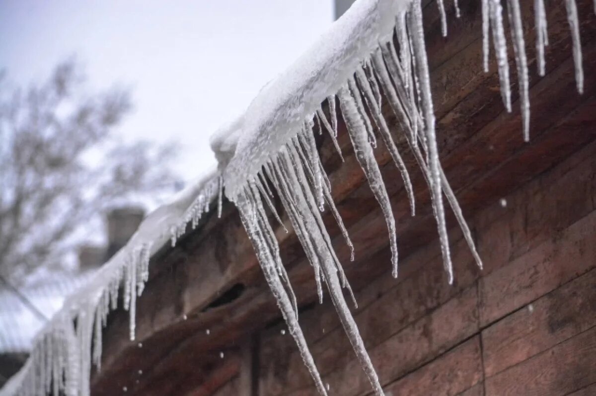   Синоптик: 17 ноября Хабаровский край распрощается с осенью и встретит зиму
