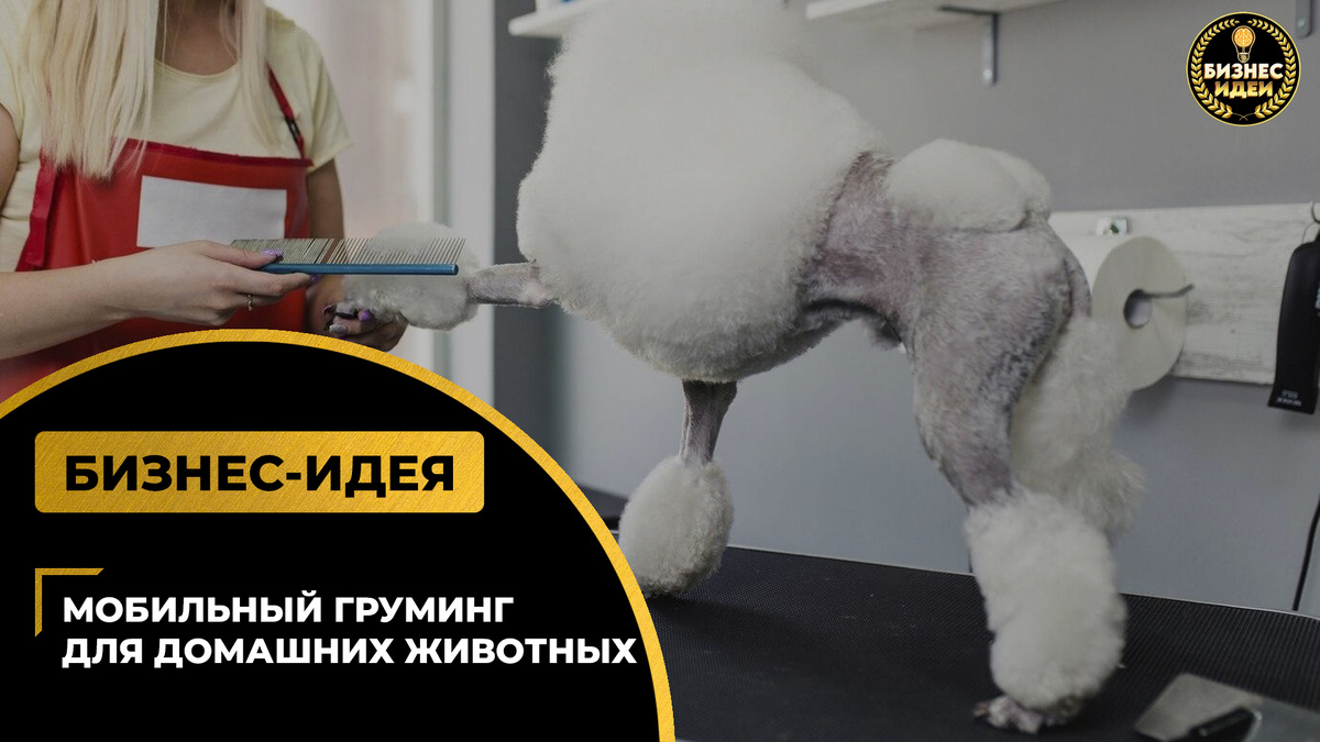 Фото взято с Телеграм-канала: https://t.me/business_ideas_new