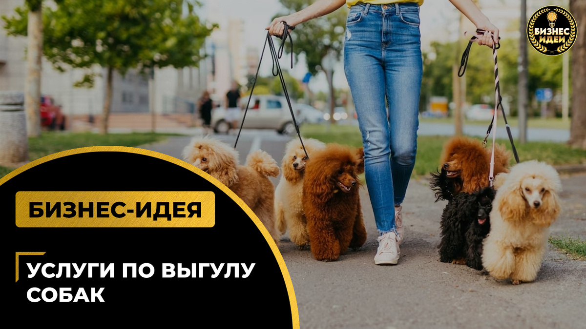 Фото взято с Телеграм-канала: https://t.me/business_ideas_new