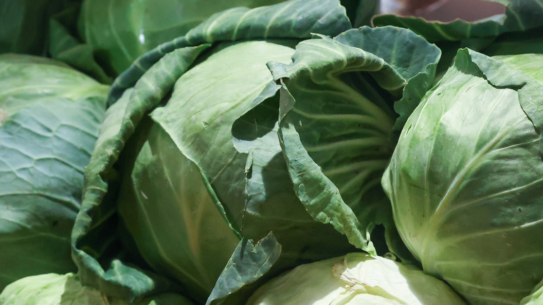    Фото: © Petrov Sergey/news.ru/Globallookpress