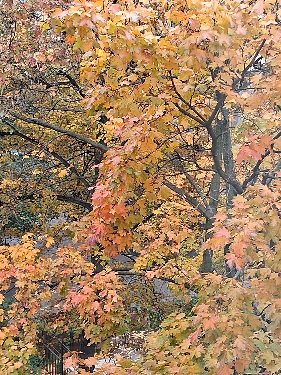 Тёплая осень. Фотография из личного архива автора 