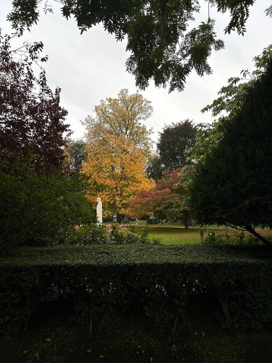 Из личного архива 