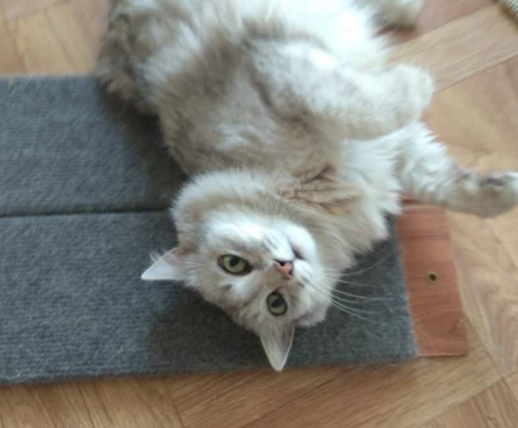 Екатерина Величайшая))) 