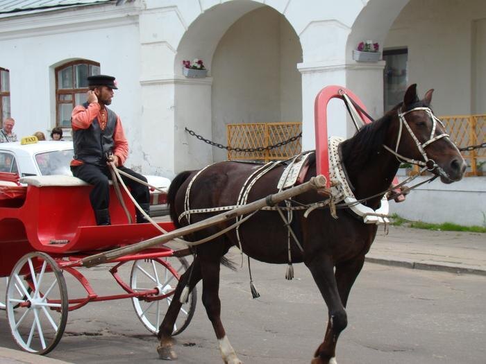 Источник: suzdalinn.ru