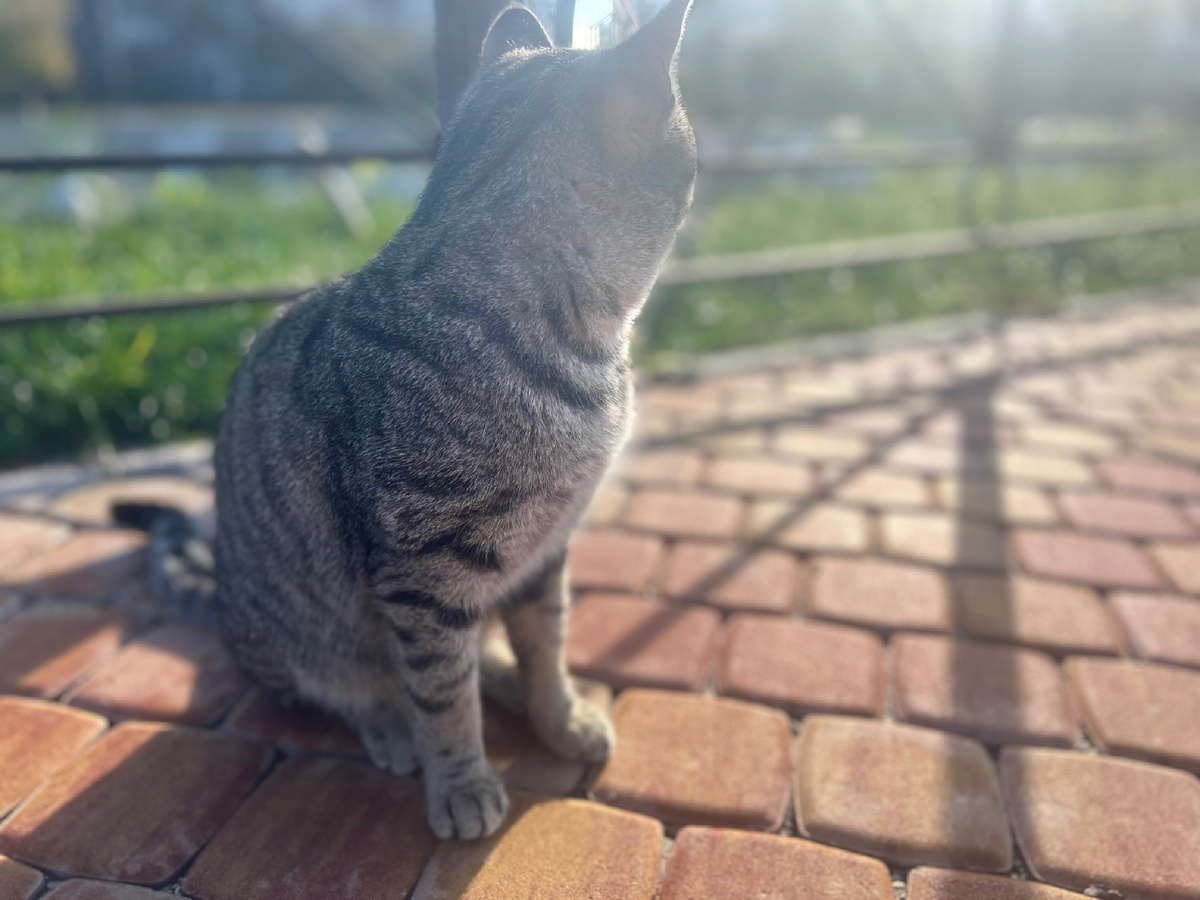 Фото мое. Дорогие читатели ! Гороскоп пишу сама. Стараюсь быть полезной. Я не профи, просто мне интересно. Ставьте лайки и подписку. 💫 Гороскоп краткий, обобщающий, самое важное в общем и целом. 😊 Поддержать автора СБЕР:2202 2080 3176 2447