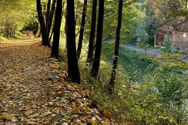   Фото из архива Калининград.Ru