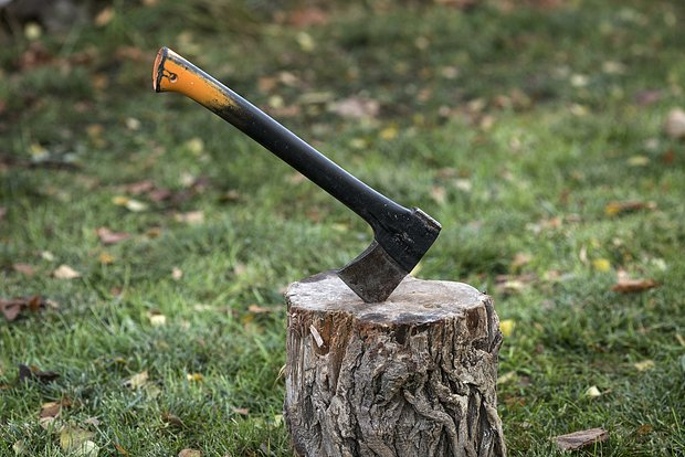 Фото: Nikolay Gyngazov / Globallookpress.com 
