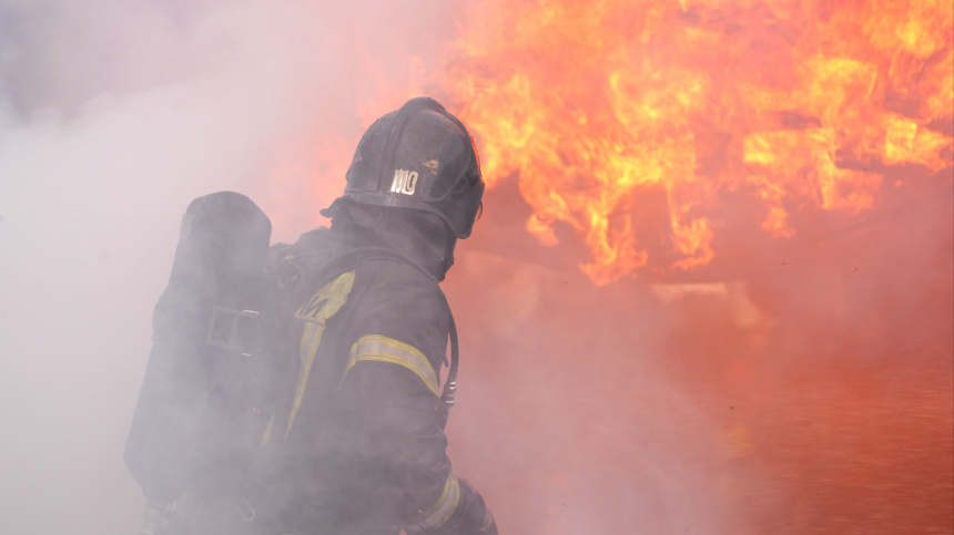    Фото: ИЗВЕСТИЯ; 5-tv.ru