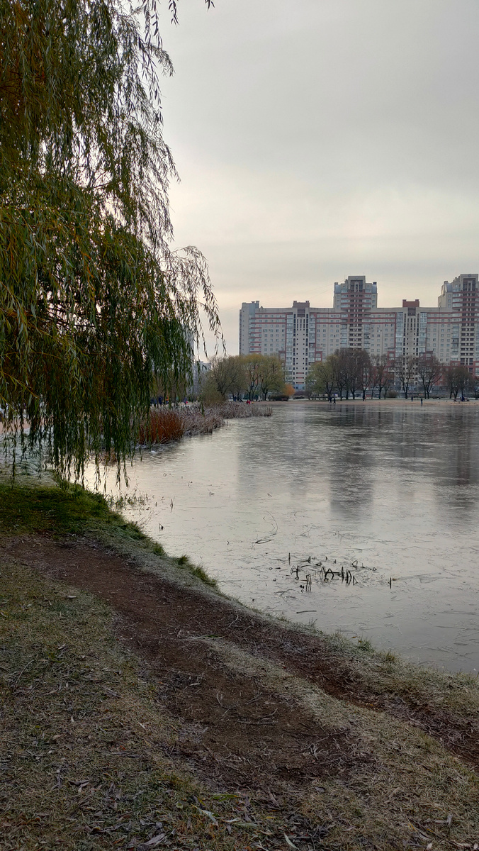 Фото автора. 