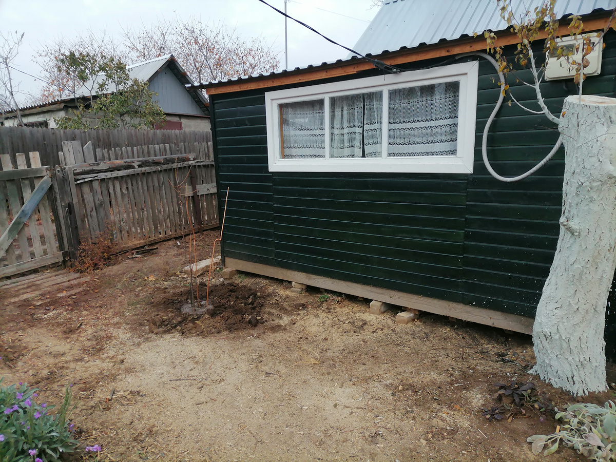 Смородина на углу домика. Чтоб цвела и пахла весной.