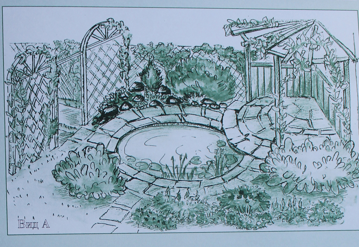 Водоем в саду, пергола