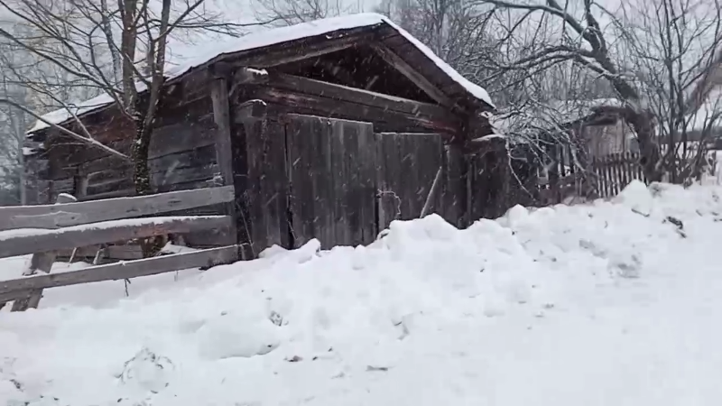 Гараж, где находилась собака