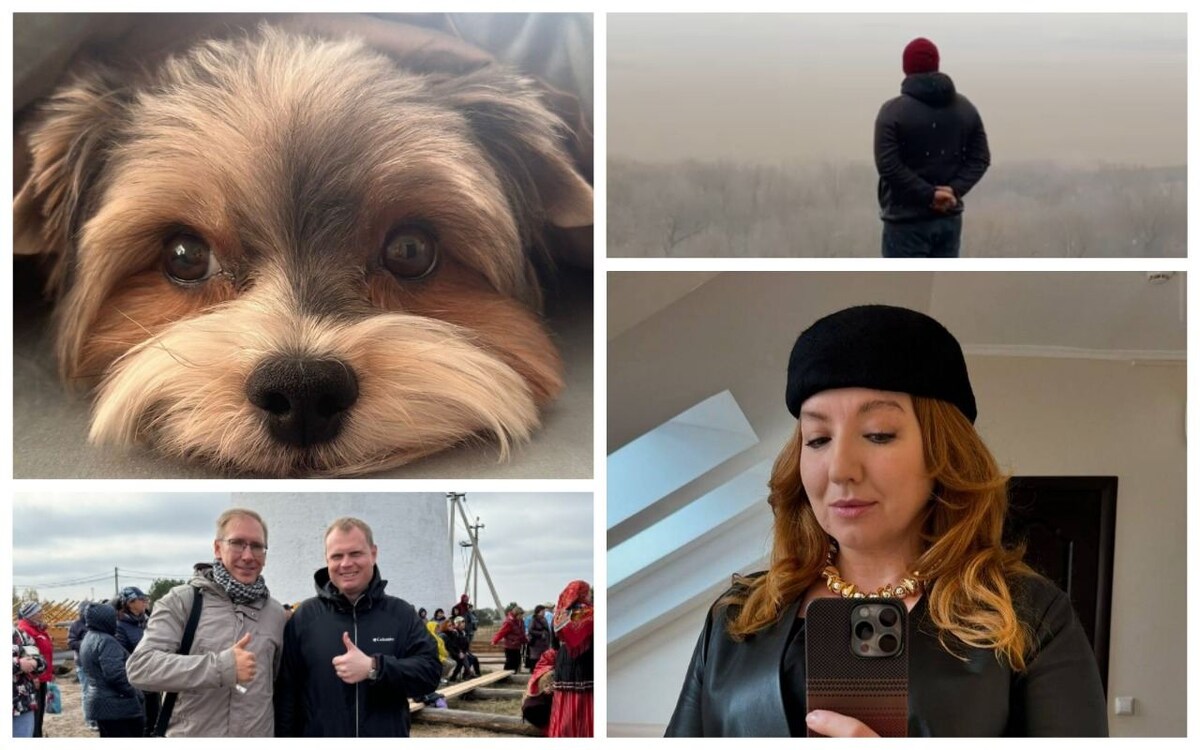    Элиты в соцсетях: полезные советы, милые щеночки и «непередаваемые ощущения» от прогулки по болоту Часть фото из Instagram (проект Meta, деятельность данной организации в России запрещена)