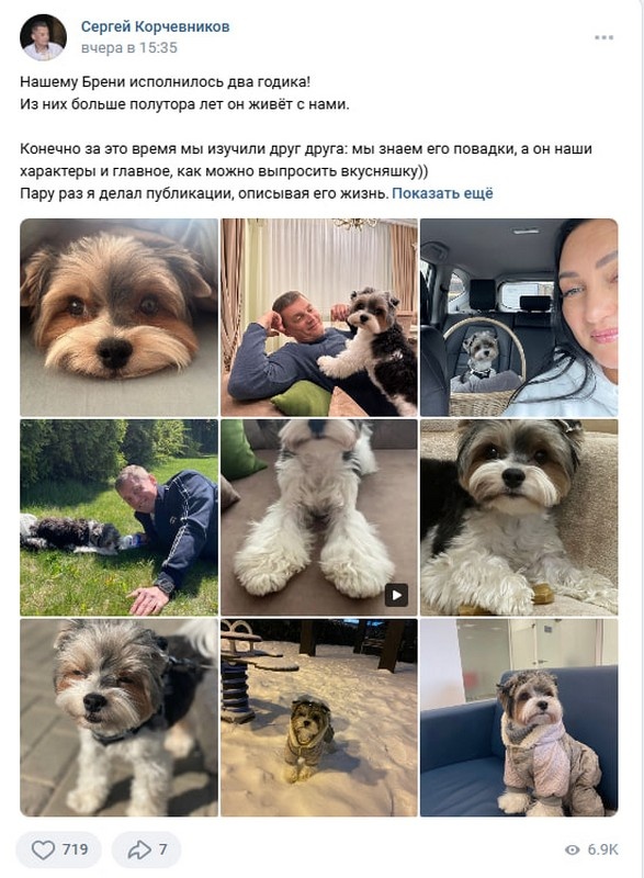    Элиты в соцсетях: полезные советы, милые щеночки и «непередаваемые ощущения» от прогулки по болоту Алевтина Солопова