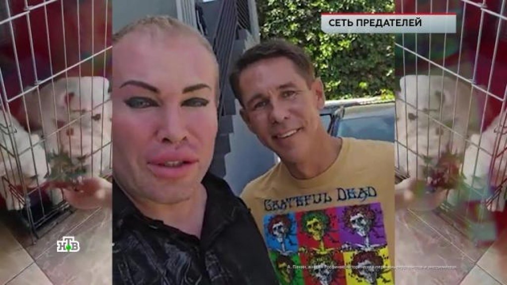    «Сеть предателей»