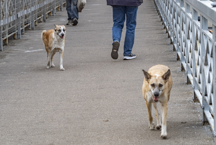 Фото: Konstantin Kokoshkin/Global Look Press