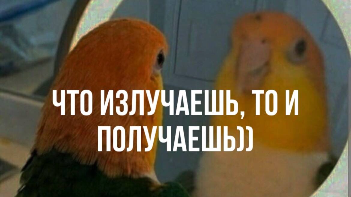 Если женщина настроила свои фильтры восприятия уже определенным образом, то и притягиваться будет соответствующий контингент. 