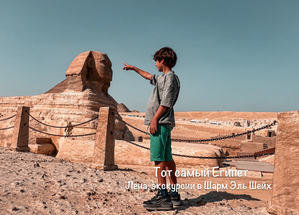Экскурсии в Каир от 45$ , подробности в телеграмм по номеру +201024136561