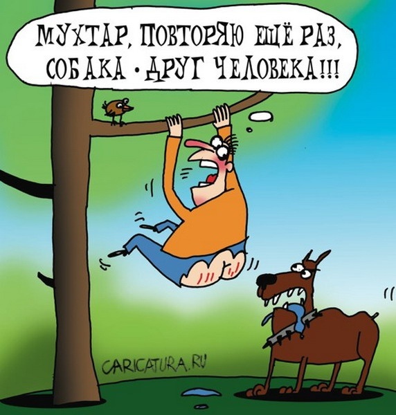 картинка из интернета