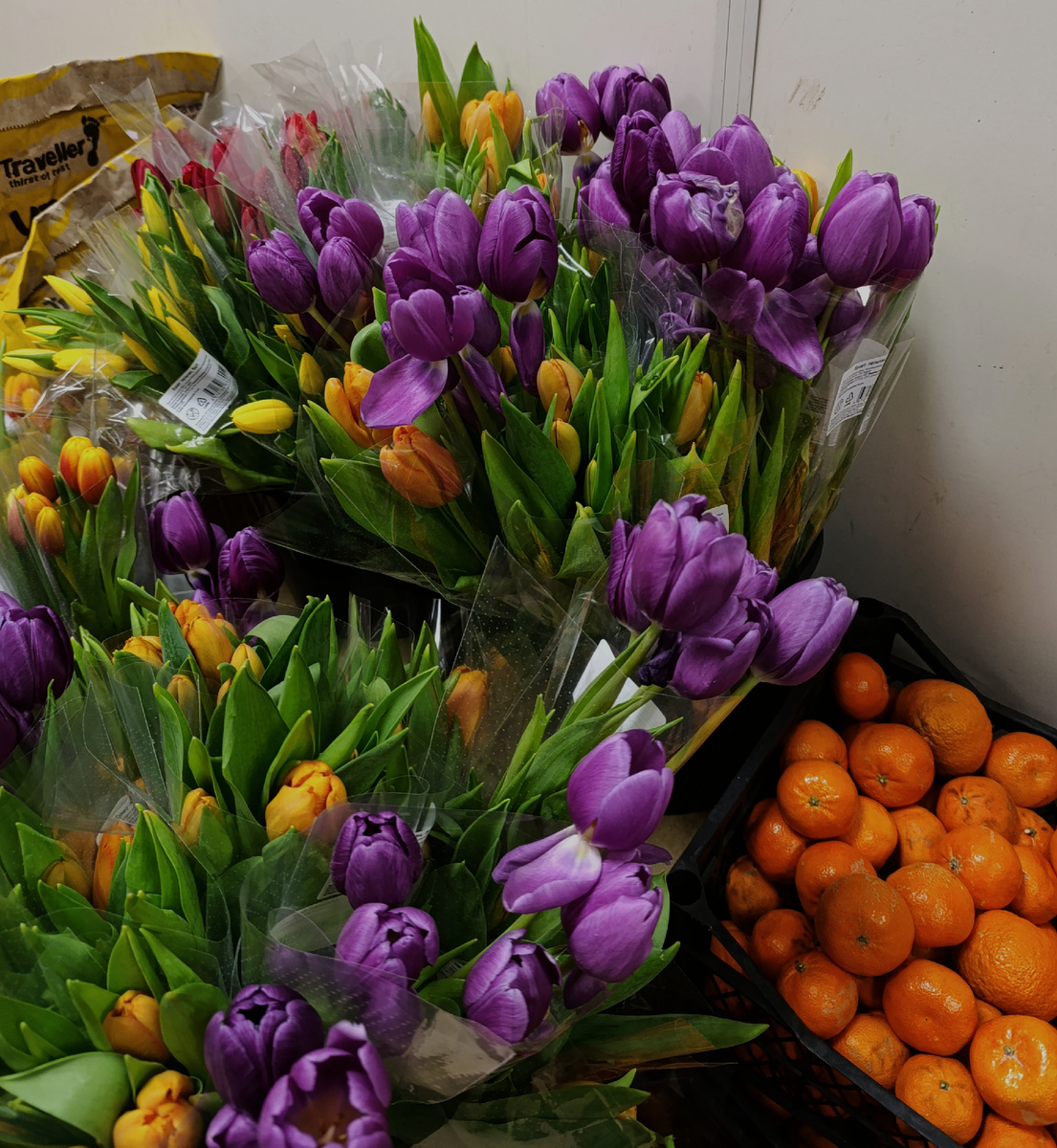 Мне просто понравился цвет тюльпанов, ну красота же 