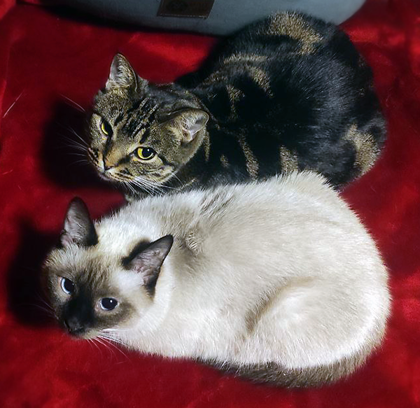 Детское питание есть?! а если найдем?!