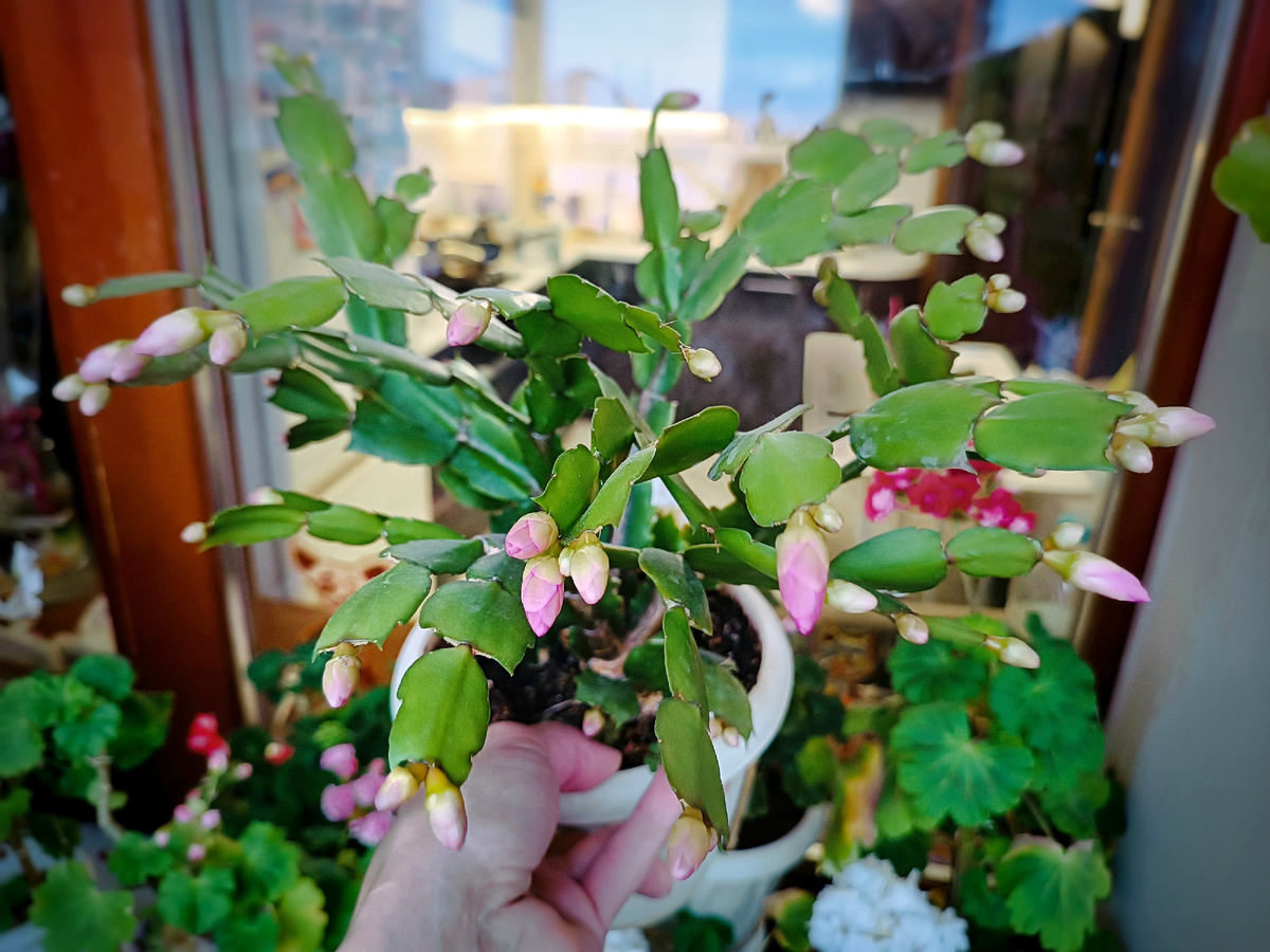 Фото дня сегодняшнего