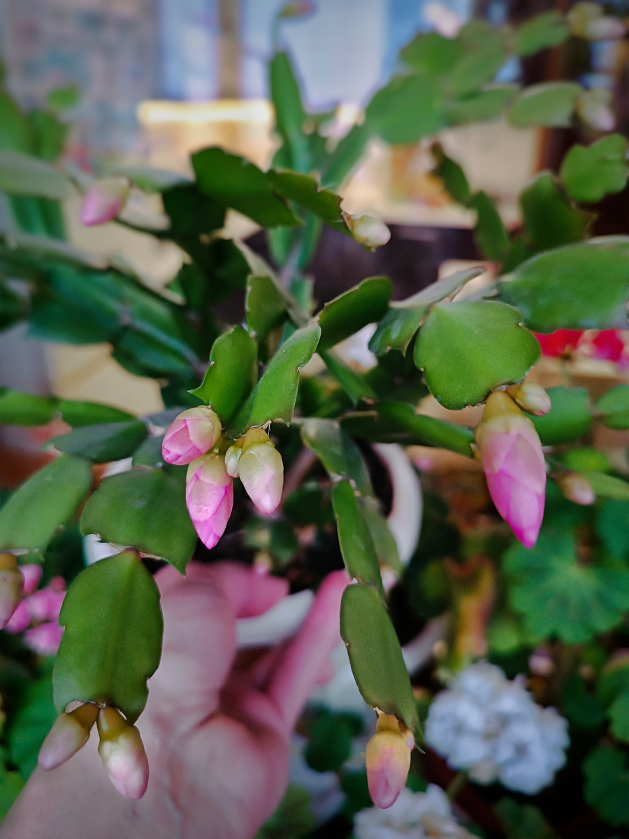 Вот вот..... 😍