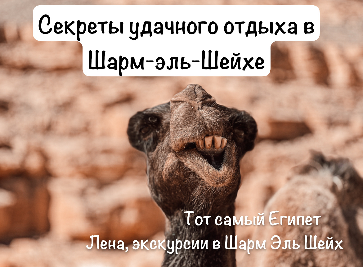 Экскурсии в Шарм Эль Шейх от русского гида. Телеграмм +201024136561