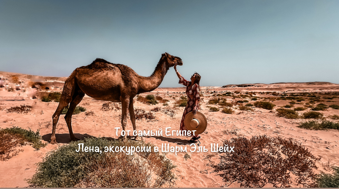 Экскурсии в Шарм Эль Шейх по фиксированным ценам. Номер телеграмм +201024136561